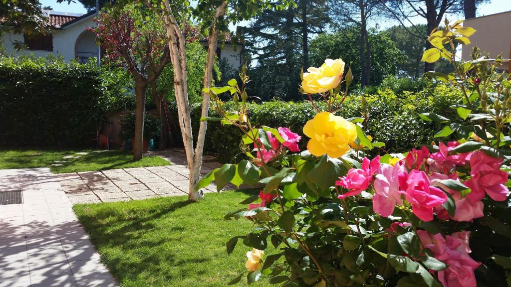 Zahrada ubytování A Due Passi Dal Mare B&B