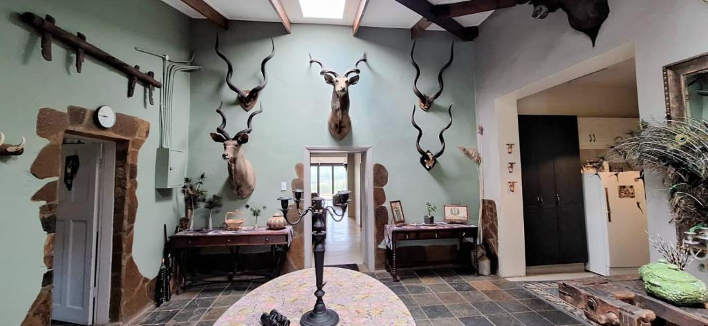 Foto dalla galleria di Carlsruhe Private Game Reserve Cullinan a Vosburg