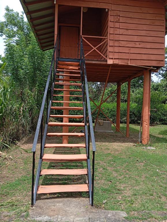 Fotografie z fotogalerie ubytování Sigiri Royal Point Tree House v destinaci Sigiriya