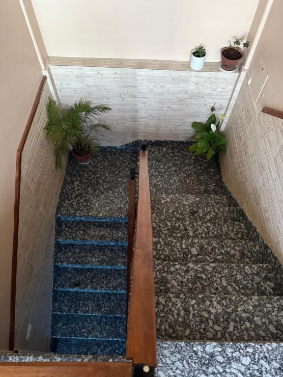 Fotografie z fotogalerie ubytování Paramount Apartment & Rooms v destinaci Pokhara