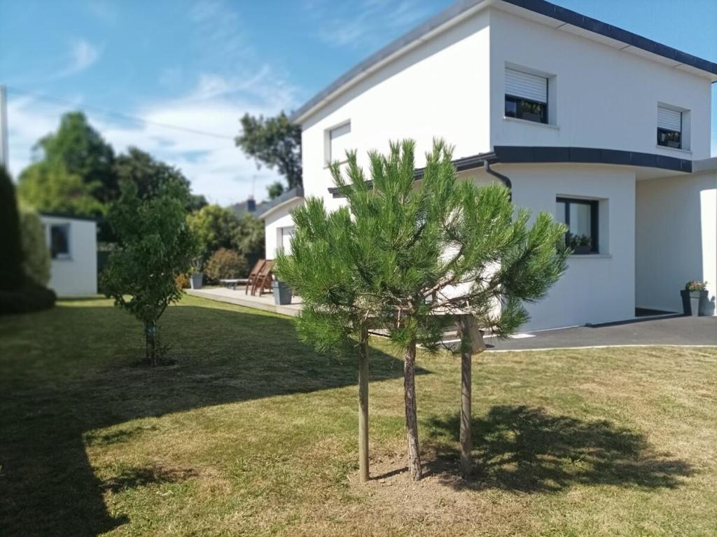 Contemporaine proche plage trez hir