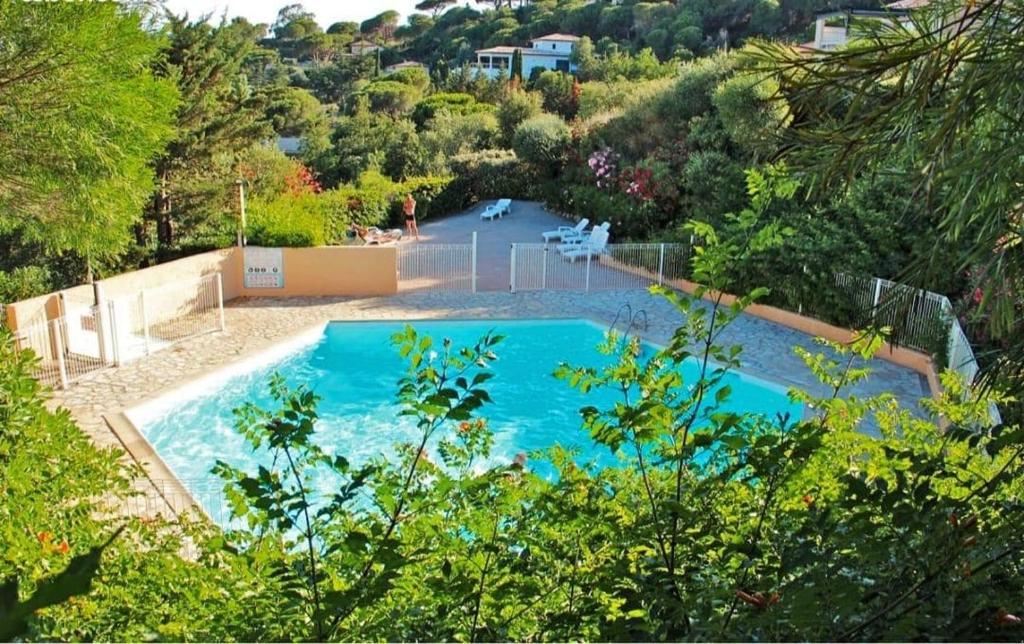 une grande piscine avec de l'eau bleue et des arbres dans l'établissement Appartement terrasse vue mer, à Sainte-Maxime