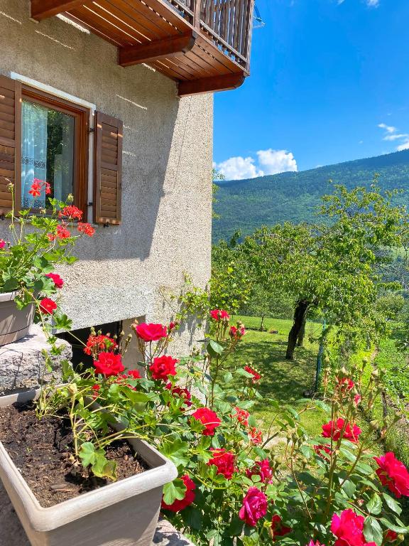 Príroda v okolí apartmánu