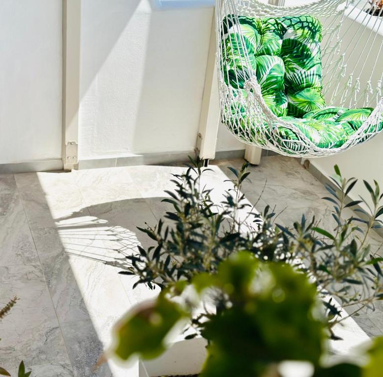 Vonkajšia záhrada v ubytovaní Galanis Sweet Home Milos