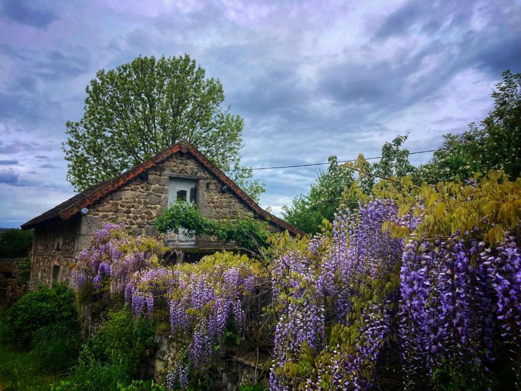 Κήπος έξω από το Vakantiehuis in groene oasis