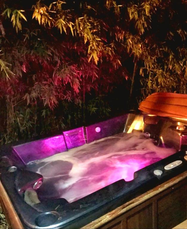 Fotografia z galérie ubytovania Havre de paix Avignon avec Jacuzzi & Sauna v Avignone