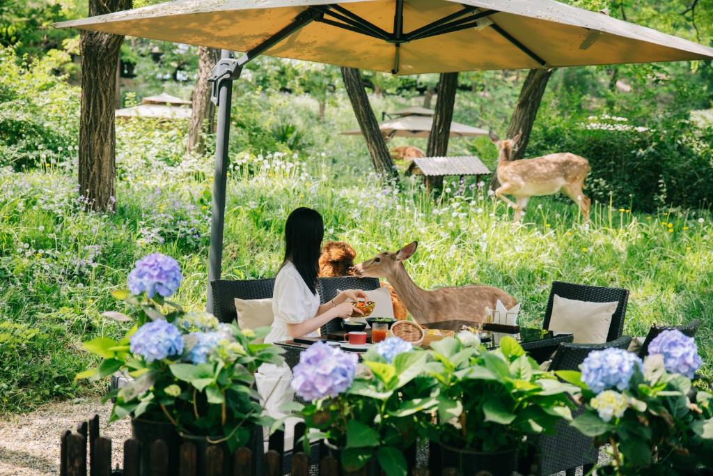 Κήπος έξω από το Zhi Resort Beijing - Breakfast with Deer&Thousand Acre Garden&50 Meter Swimming Pool&Private Soup Pool&Outdoor Soup Spring&Free Coffee