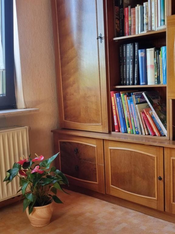 Knihovna v penzionu