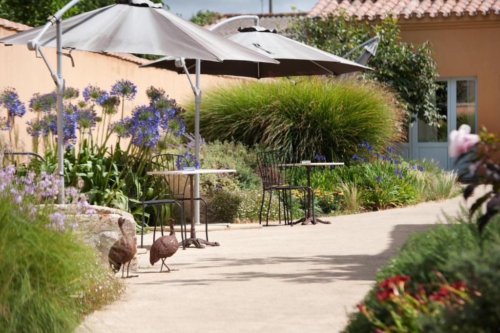 Aquae Sinis Albergo Diffuso - 13