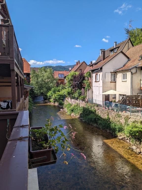 - une vue sur une rivière dans une ville avec des maisons dans l'établissement La Maison des Potiers avec Terrasse et Parking, à Kaysersberg