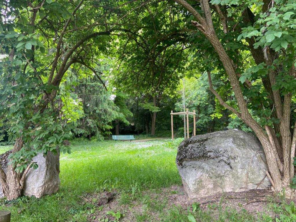 ein Stein im Gras neben einem Baum in der Unterkunft Studio lumineux avec terrasse à deux pas de Genève in Gaillard