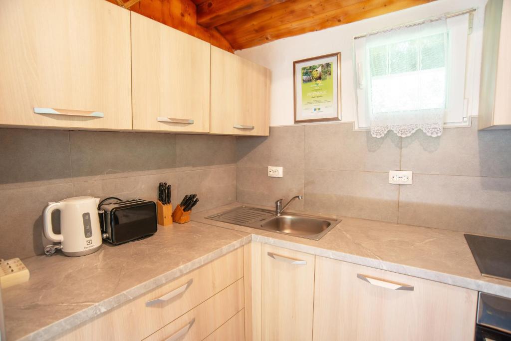 Kuchyňa alebo kuchynka v ubytovaní Resort "Ranch Ante"
