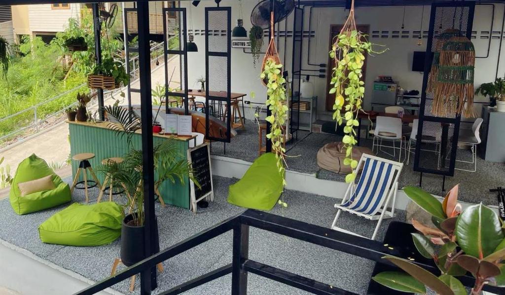 Cactus Boutique - 12