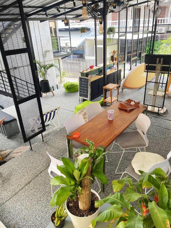 Cactus Boutique - 11