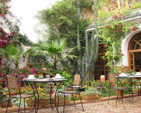Zahrada ubytování Le Riad Meknes