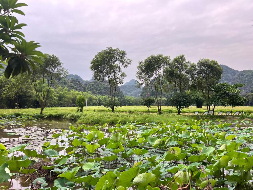 Forest Sunset hostel - 15