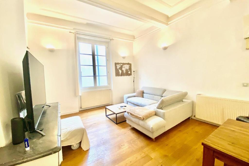 un salon avec un canapé et une télévision dans l'établissement Spacious apartment - city center, à Toulon