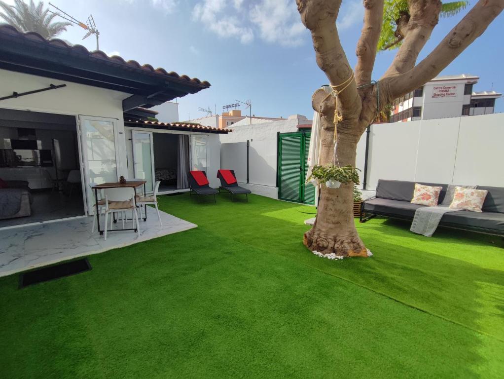 a yard with green grass and a tree at Bungalow privado junto al Yumbo Centre in San Bartolomé de Tirajana
