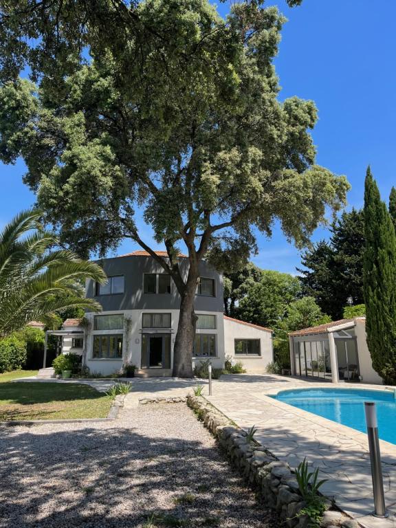 une maison avec un arbre et une piscine dans l'établissement Villa avec piscine et salle de sport, à Castries