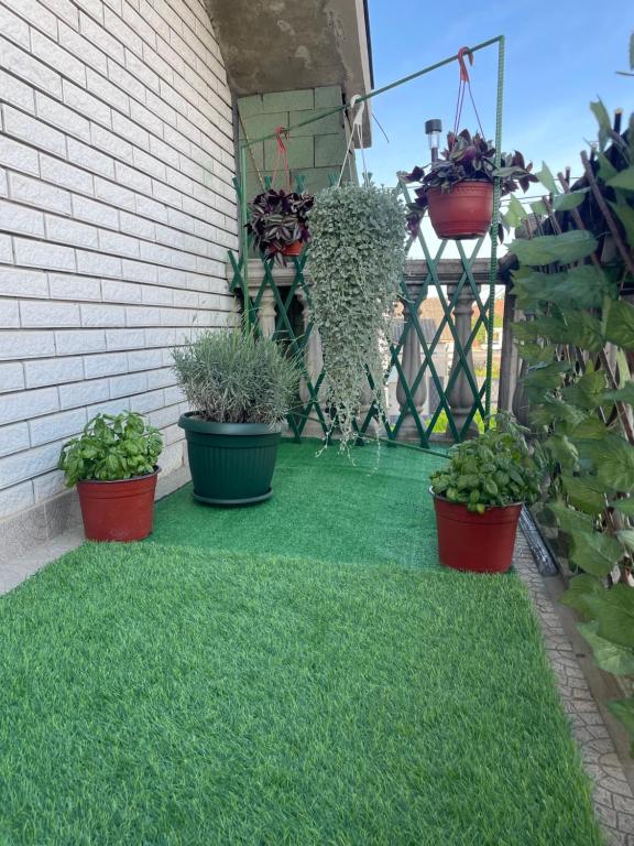 Zahrada ubytování Apartman 1
