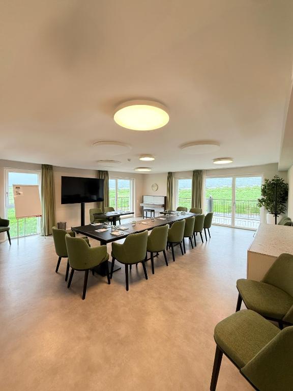 TV a/nebo společenská místnost v ubytování Alp Art Hotel Monthey