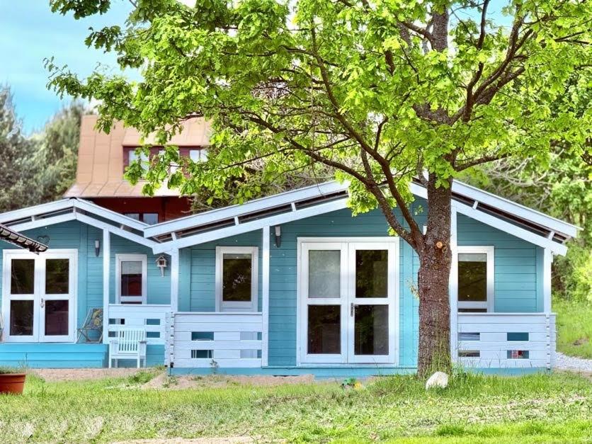 ein blaues Haus mit einem Baum davor in der Unterkunft Dębowy Zakątek in Olsztyn