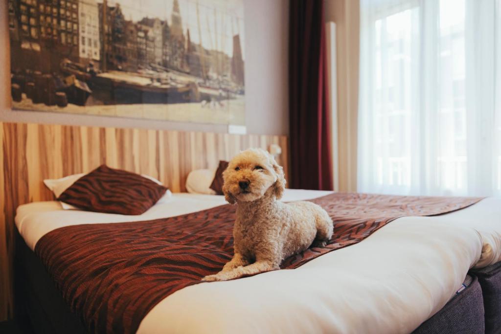 Hotel Asterisk, a family run hotel - Resim 6