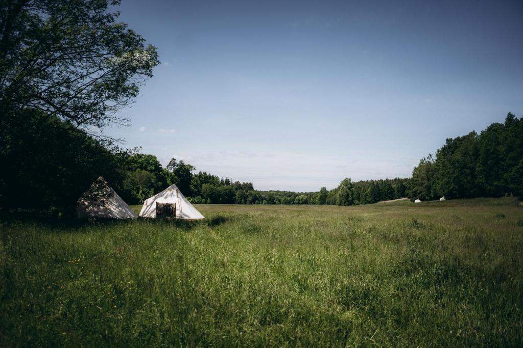 Příroda nedaleko luxury tent