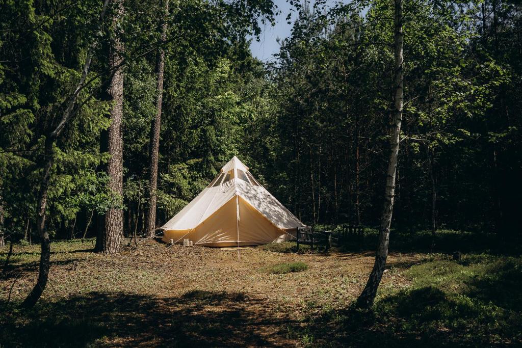 Příroda nedaleko luxury tent