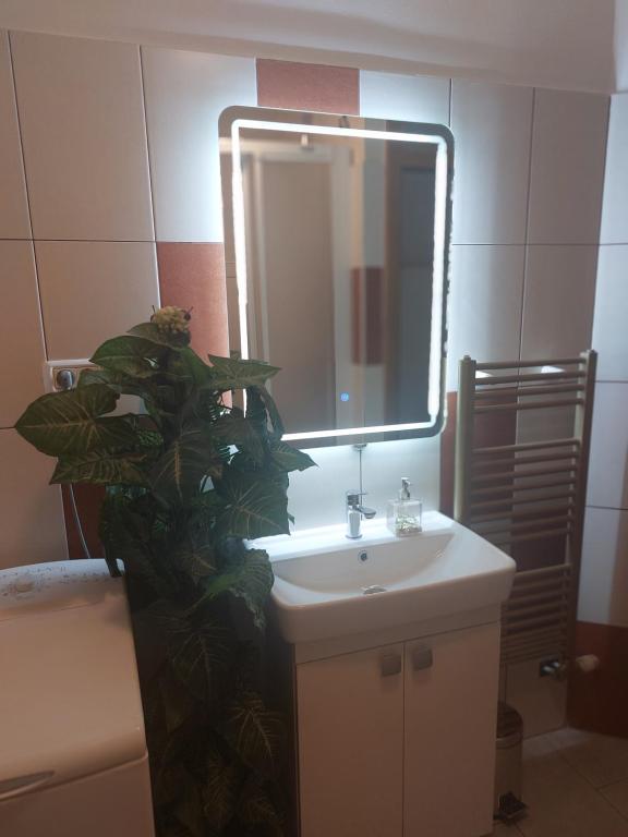 Apartments Okuka - 13