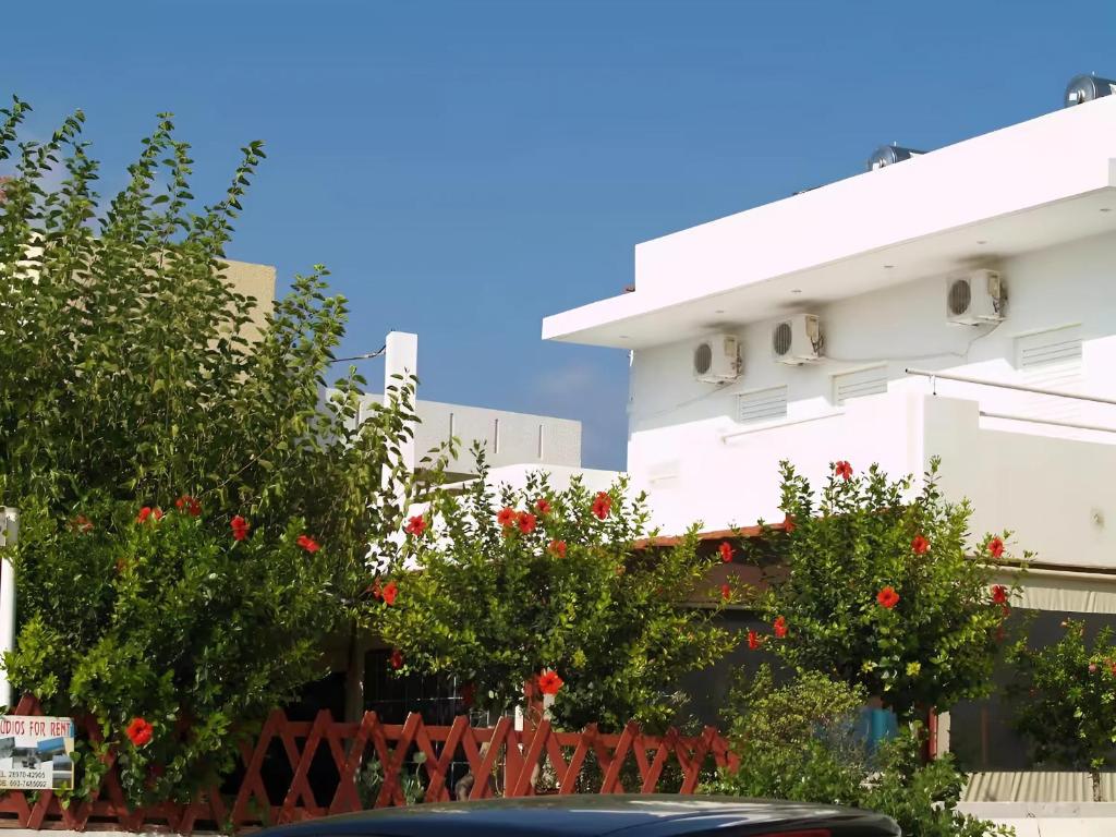 two trees in front of a white building with red flowers at AMZ Apartments in Kato Gouves