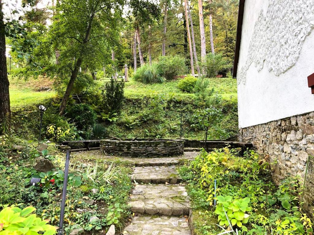 Vonkajšia záhrada v ubytovaní Keresztkúti Erdei Pihenőhely