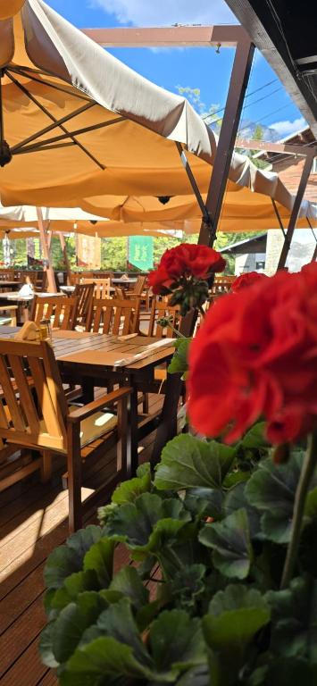 Restaurace v ubytování Hotel Piatra Soimului
