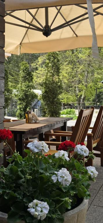 Zahrada ubytování Hotel Piatra Soimului