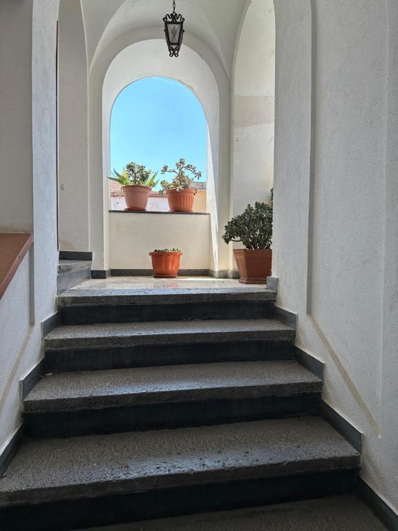 Fotografie z fotogalerie ubytování B&B FRAI v Sorrentu