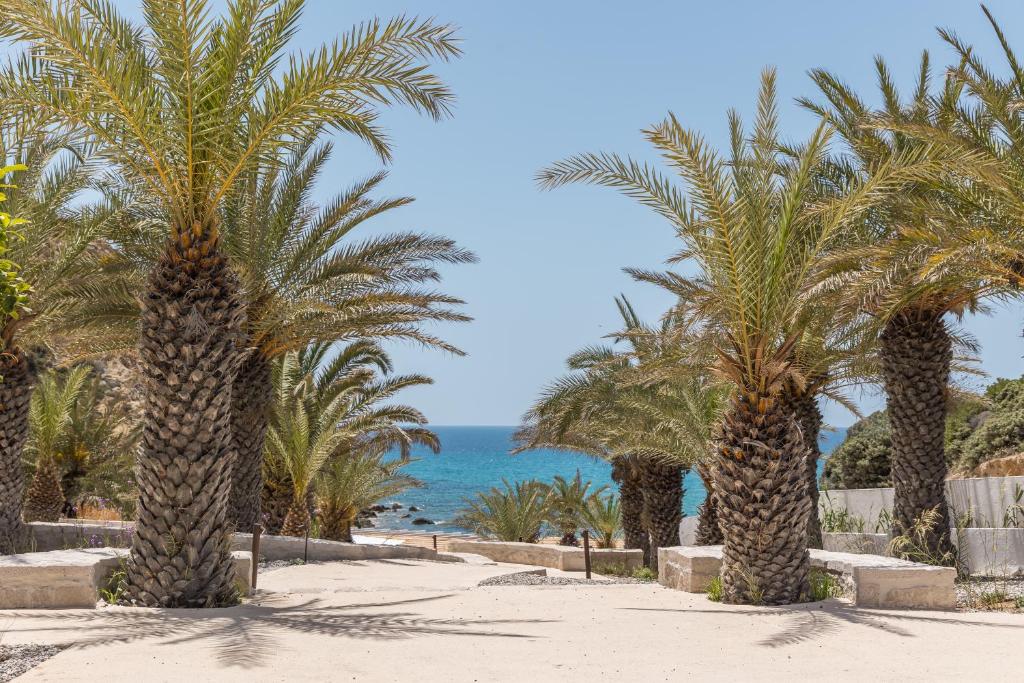 a row of palm trees on a beach with the ocean at Golden Milos Beach Ηouse by Domotel in Provatas