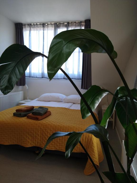 Beach Bed & Brasserie Het Kosthuys - Doppelzimmer