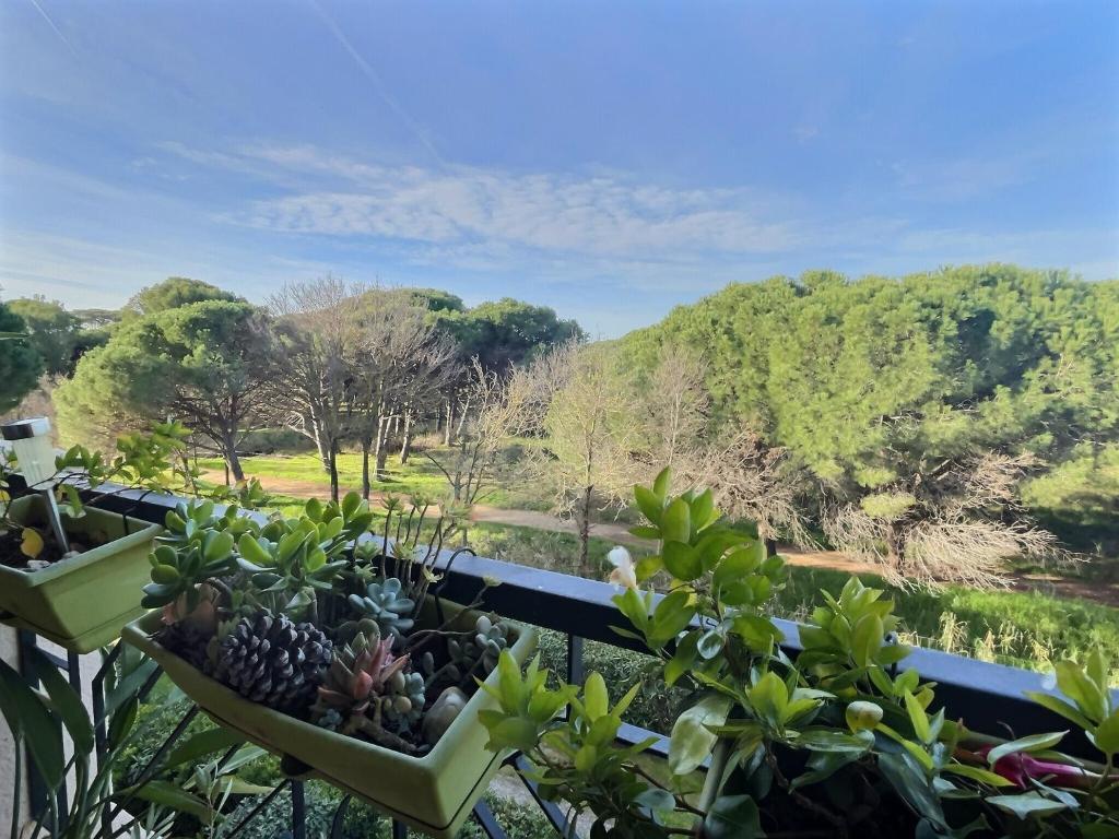 - une vue depuis le balcon d'une maison ornée de plantes dans l'établissement Appartement T2 au bord de l'eau, à La Londe-les-Maures