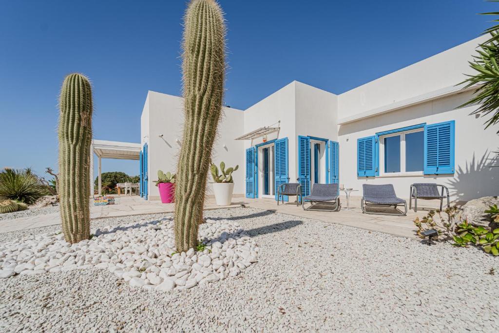 a villa with cacti in front of a house at Villa Elisa 