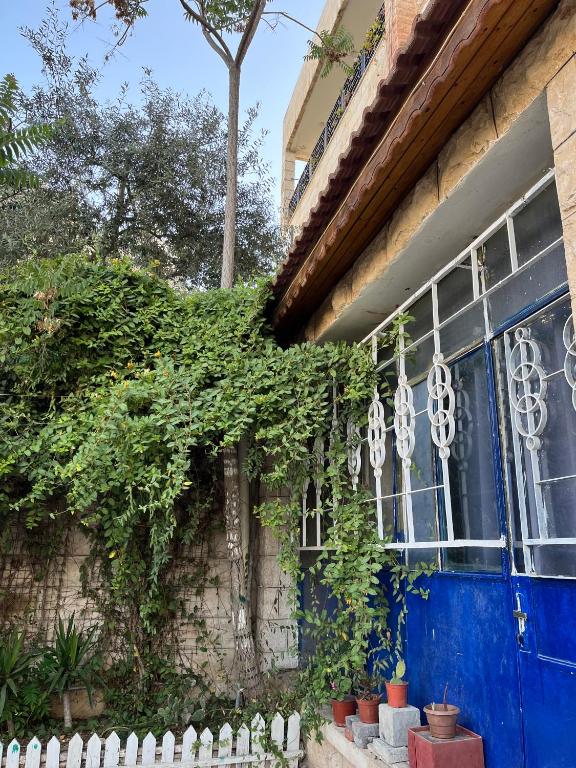 a building with a blue door and ivy on it at bayt alrahaal in Amman