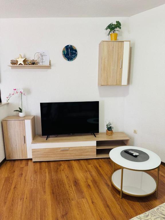 Televízia a/alebo spoločenská miestnosť v ubytovaní Apartments Vulić