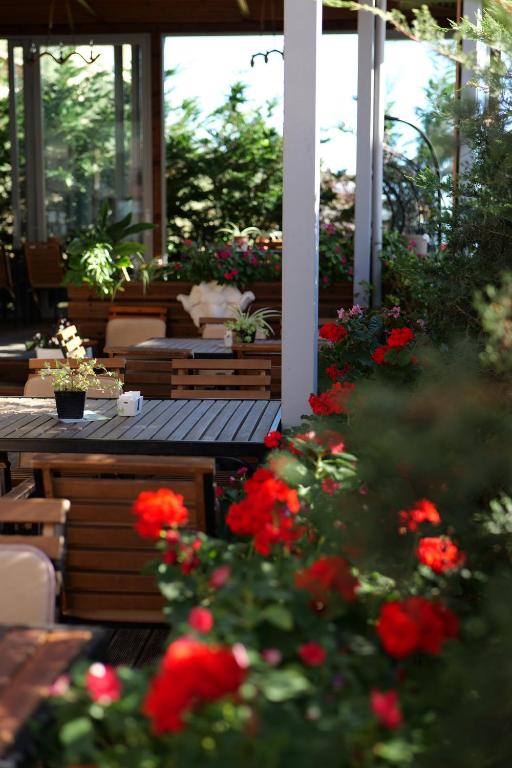 Zahrada ubytování Hotel Abedini