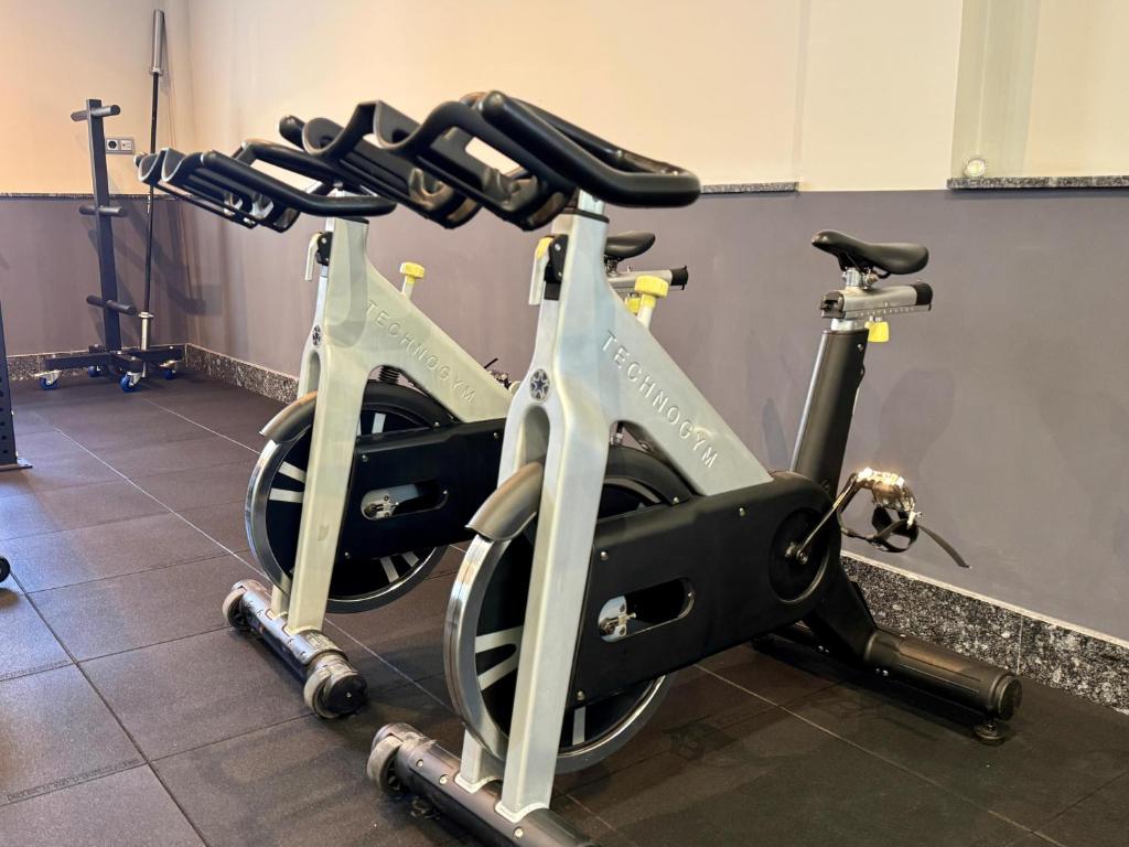 Fitness centrum a/nebo fitness zařízení v ubytování Hotel Ávila Diró