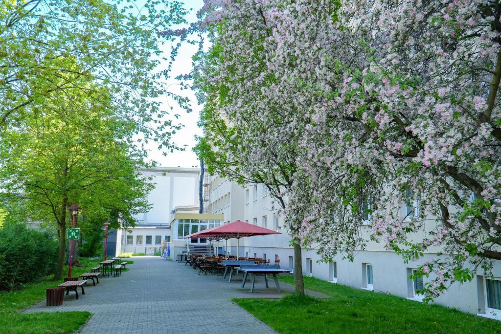 Zahrada ubytování DJH Jugendherberge Dresden - Jugendgästehaus