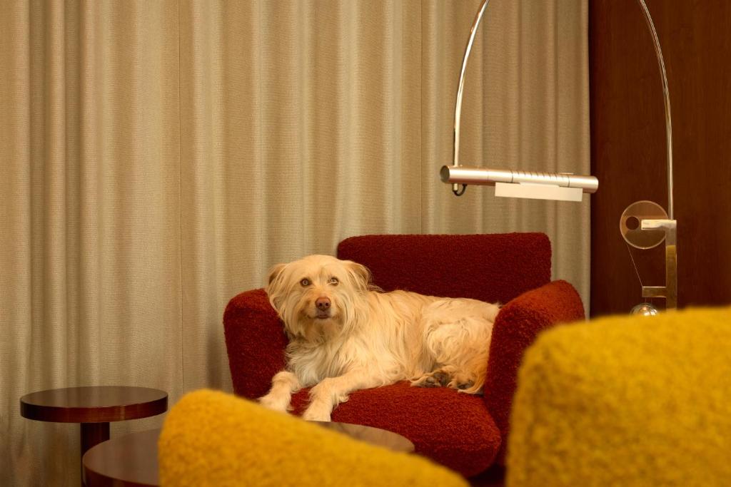 The Standard, Brussels - Resim 25