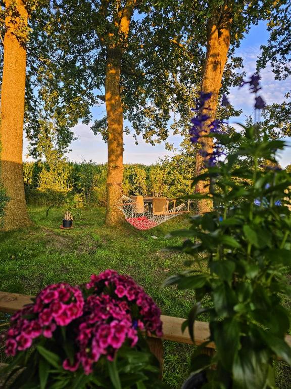 a bunch of flowers in a garden with trees at natuur huisje in Anloo