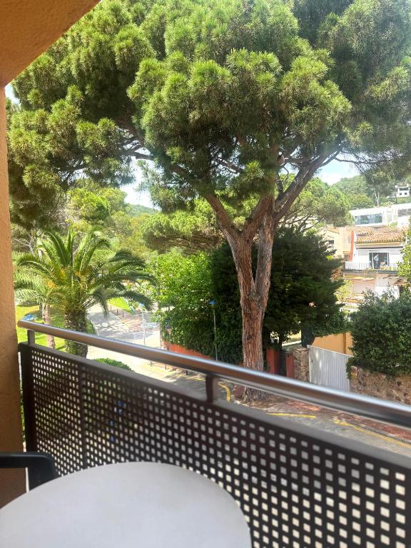 Balkón nebo terasa v ubytování Hotel Medium Montecarlo