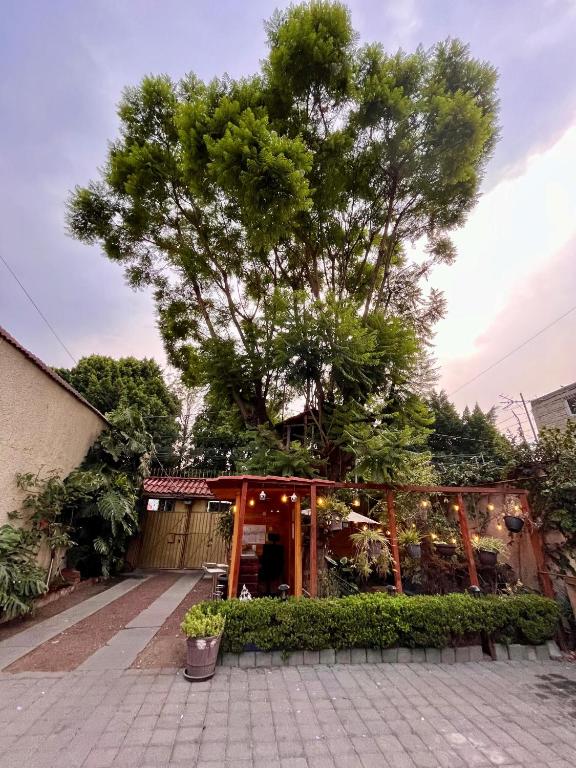 Zahrada ubytování Casita del Árbol