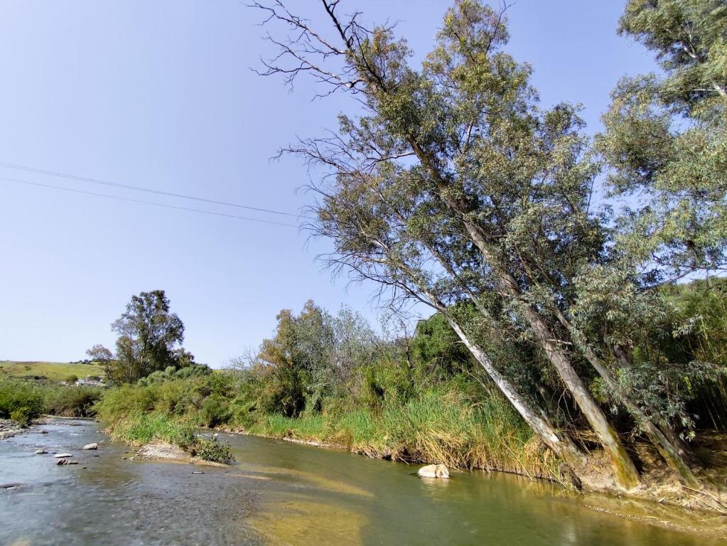 Príroda v okolí vily