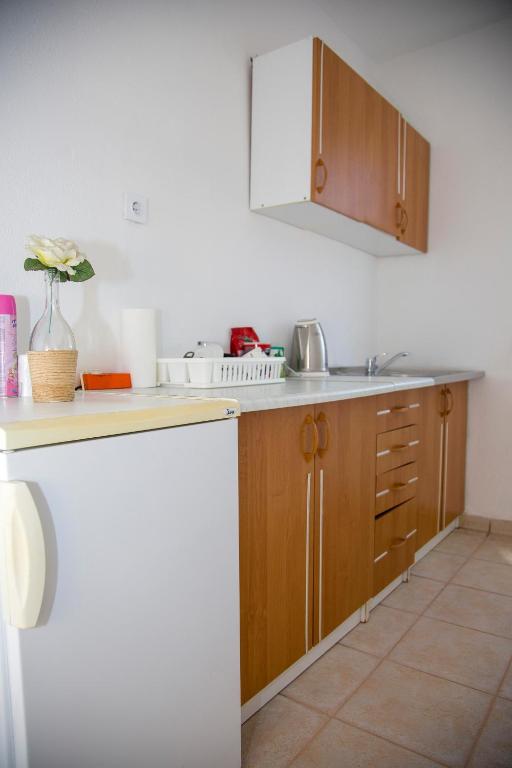 Kuchyň nebo kuchyňský kout v ubytování Guesthouse Bajric